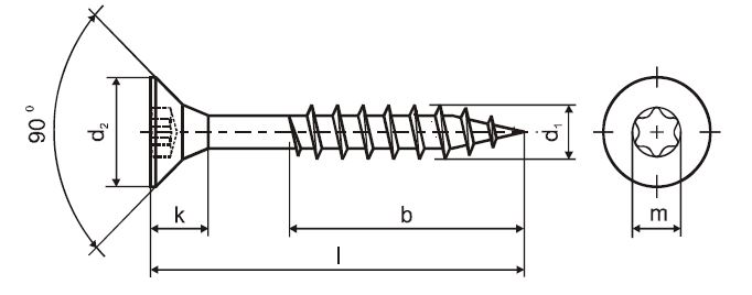 legenda vrut torx